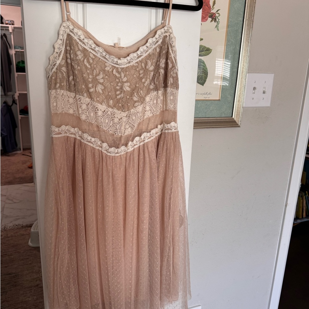 Ryu Elegant Lace Cream and Tan Slip Dress